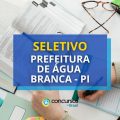 Prefeitura de Água Branca – PI lança edital de seletivo