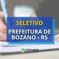 Prefeitura de Bozano – RS abre dois editais de processo seletivo