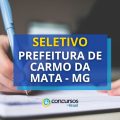 Prefeitura de Carmo da Mata – MG abre processo seletivo