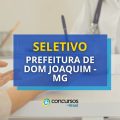 Prefeitura de Dom Joaquim – MG abre novo processo seletivo