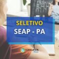 SEAP PA abre 52 vagas em processo seletivo; até R$ 6,3 mil