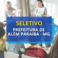 Prefeitura de Além Paraíba – MG: vagas de nível médio e superior