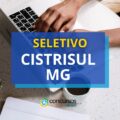 Editais CISTRISUL MG: 73 vagas e formação de cadastro