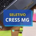 CRESS MG paga R$ 6,1 mil em processo seletivo simplificado