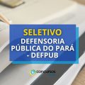 Defensoria Pública do Pará – DEFPUB abre processo seletivo