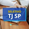 TJ SP anuncia oportunidades de estágio em processo seletivo