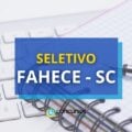 FAHECE SC: salário-base de R$ 4,5 mil em processo seletivo