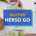 HERSO GO: edital com mais de 150 vagas em processo seletivo