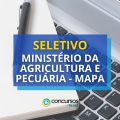 MAPA abre novo processo seletivo com vagas de até R$ 4 mil