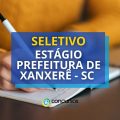 Prefeitura de Xanxerê – SC abre processo seletivo de estágio