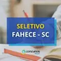 FAHECE - SC oferece até R$ 5 mil em edital de seletivo