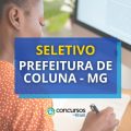 Prefeitura de Coluna – MG divulga processo seletivo na saúde