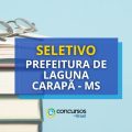 Prefeitura de Laguna Carapã – MS anuncia novo seletivo