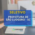 Prefeitura de São Ludgero – SC publica edital de seletivo