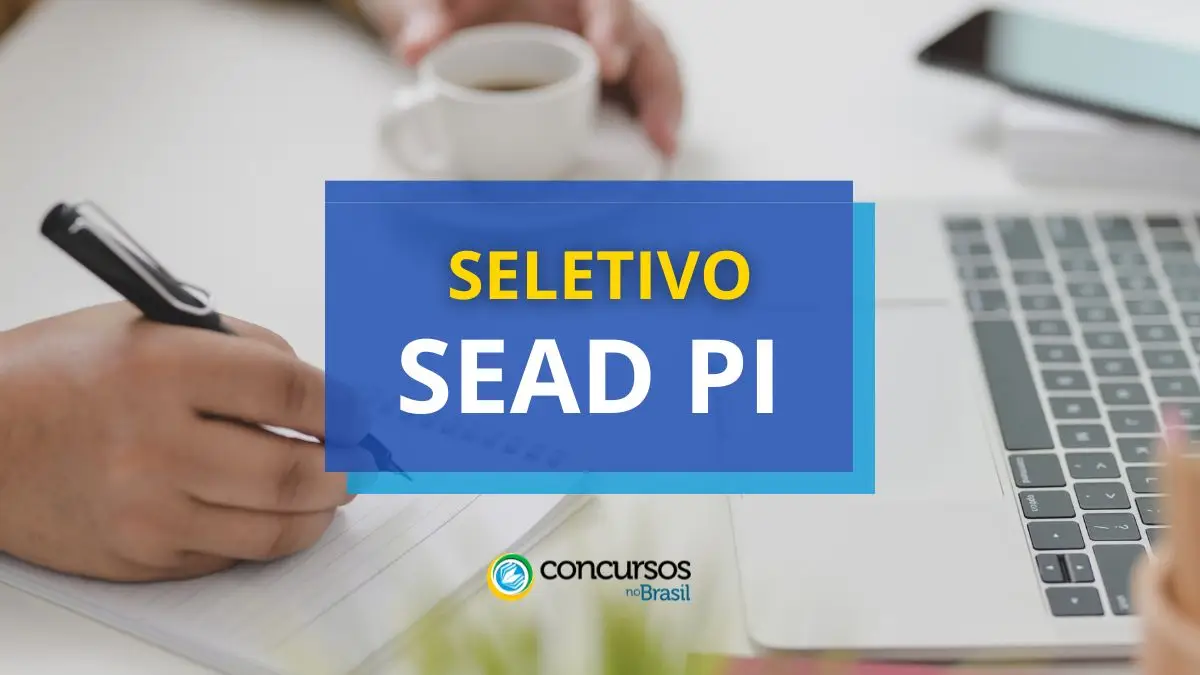 Processo seletivo SEAD PI, SEAD PI, vagas SEAD PI, edital SEAD PI, seletivo SEAD PI.