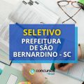 Prefeitura de São Bernardino – SC abre processo seletivo