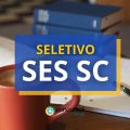 SES SC disponibiliza 39 vagas com salário de até R$ 10,3 mil