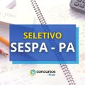 SESPA – PA abre processo seletivo para cargos temporários