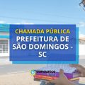 Prefeitura de São Domingos – SC abre chamada pública