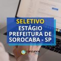 Estágio Prefeitura de Sorocaba – SP tem edital aberto