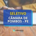 Câmara de Pombos – PE abre edital de processo seletivo