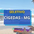 CIGEDAS – MG abre processo seletivo; até R$ 4,7 mil