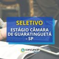 Câmara de Guaratinguetá – SP: seletivo para estagiários