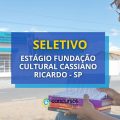 Fundação Cultural Cassiano Ricardo – SP abre estágio