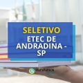 Etec de Andradina – SP publica 2 editais de seletivo