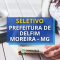 Prefeitura de Delfim Moreira – MG abre processo seletivo