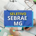 Sebrae MG abre vagas para bolsistas; até R$ 6,5 mil