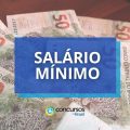 Salário mínimo 2025: qual o novo valor previsto e quando começa?