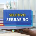 SEBRAE RO paga até R$ 6,5 mil em processo seletivo