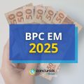 Novo valor do BPC está previsto para 2025; veja qual é