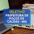 Câmara de Poços de Caldas – MG abre seletivo de estágio