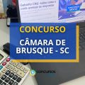 Concurso Câmara de Brusque – SC: até R$ 11,5 mil/mês