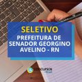 Prefeitura Senador Georgino Avelino – RN lança seletivo