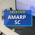 AMARP - SC divulga processo seletivo: R$ 6 mil mensais