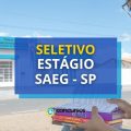 SAEG – SP anuncia novo processo seletivo de estágio