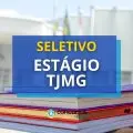 TJMG abre edital de seletivo de estágio: 465 vagas