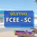 FCEE – SC anuncia 16 vagas em novo processo seletivo