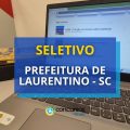 Prefeitura de Laurentino – SC abre vaga; R$ 5,6 mil/mês