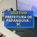 Prefeitura de Papanduva - SC abre processo seletivo