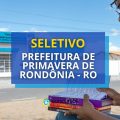 Prefeitura de Primavera de Rondônia - RO: edital aberto