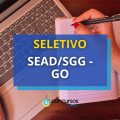 SEAD/SGG – GO: 103 vagas em edital de processo seletivo