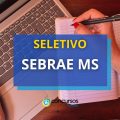 SEBRAE MS oferta 279 vagas para bolsistas em Inovação