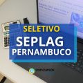 Seletivo SEPLAG – PE abre vagas para atuação no Recife