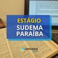 Processo seletivo SUDEMA PB: novo edital com 54 vagas