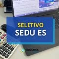 SEDU – ES abre edital de seletivo para apoio escolar