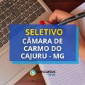 Câmara de Carmo do Cajuru – MG lança edital de seletivo